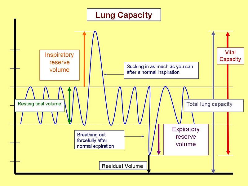 Vital Capacity And The Difference Between Forced Vital Capacity And 